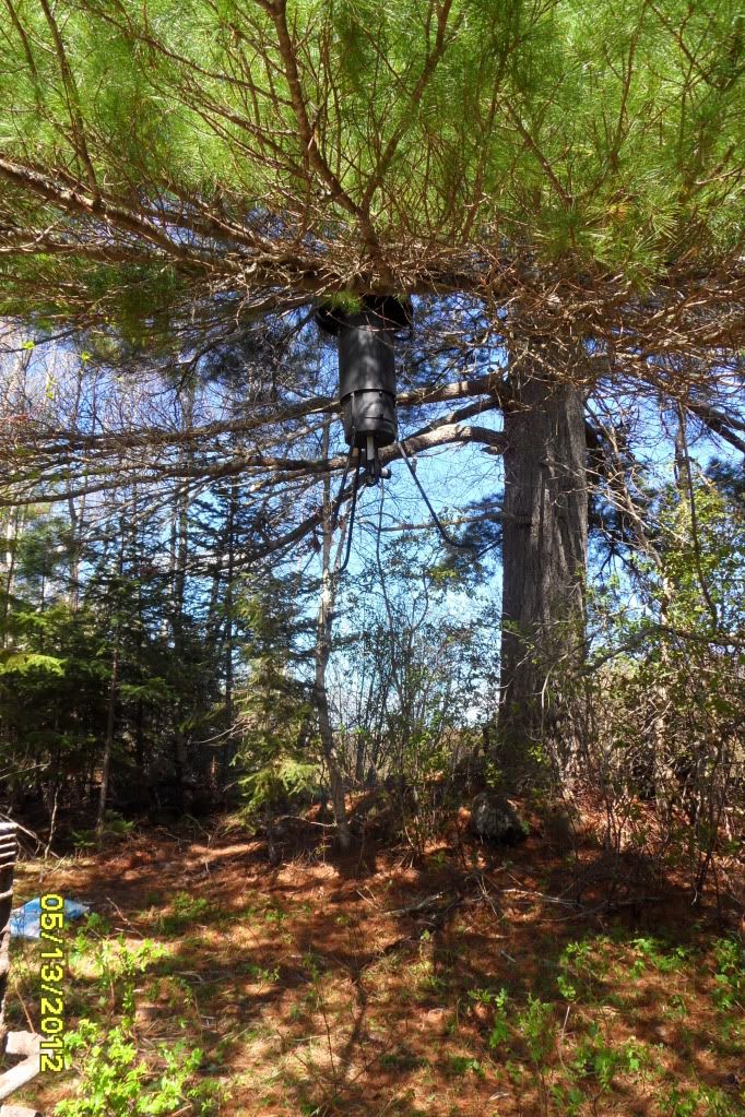 Apple Tree Wild Game Feeder New Brunswick Hunting Forum